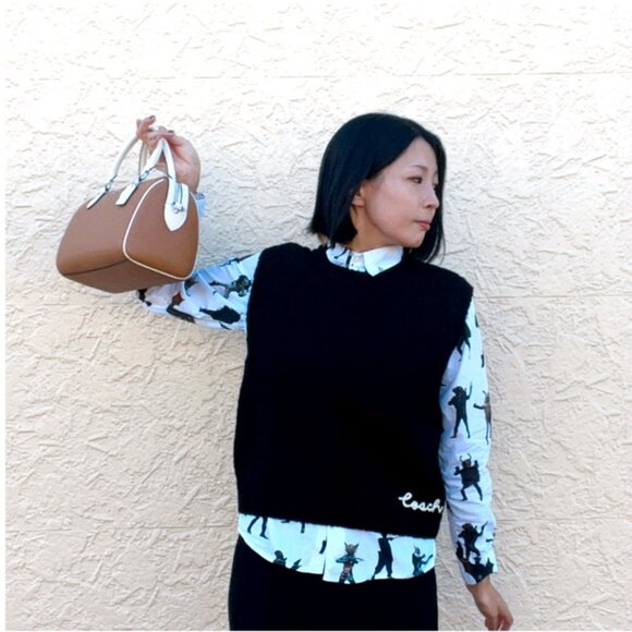 NWT COACH Rowan Satchel Bag In Colorblock - Novelty Leather/Silver/Light Saddle - Picture 16 of 16